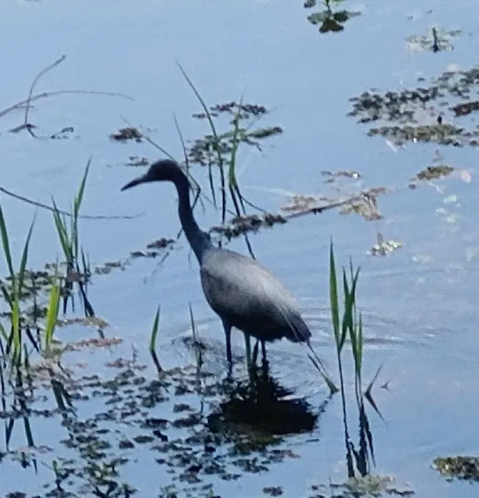 Vero Beach Kamp Inc Picture 6