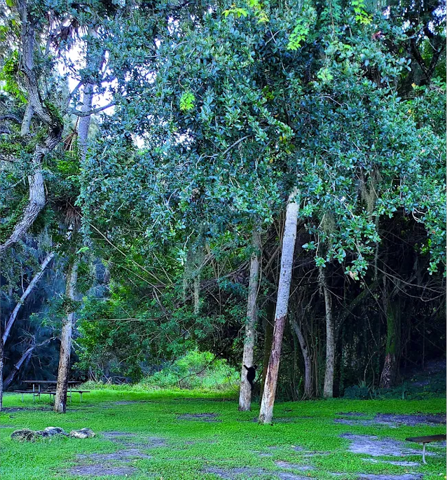 Vero Beach Kamp Inc Picture 10