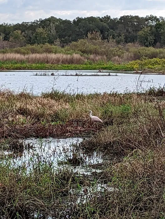 Lake Jackson Campsite Picture 3