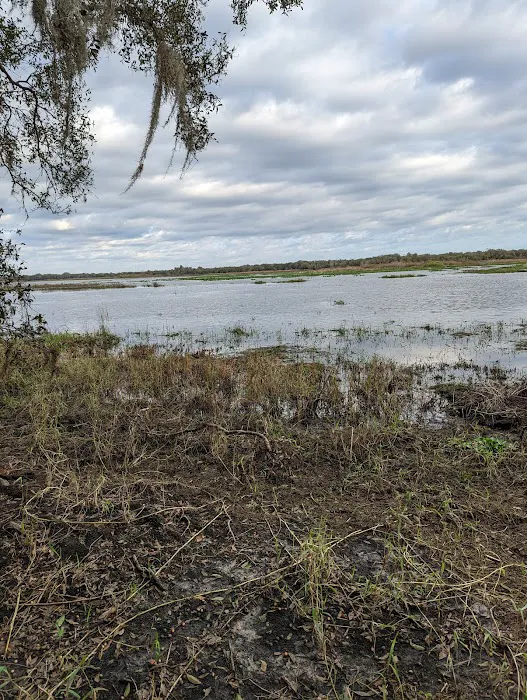 Lake Jackson Campsite Picture 4