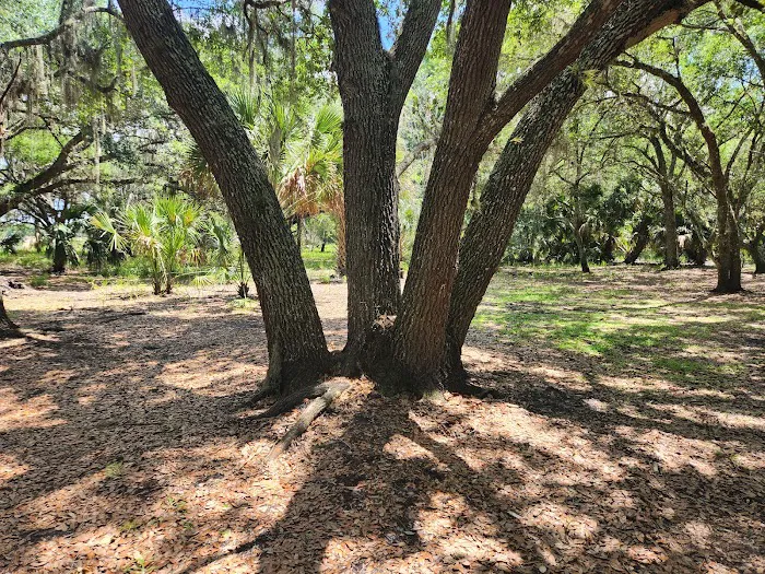 Lake Jackson Campsite Picture 5