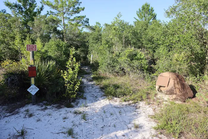 Creekside Camp Picture 4