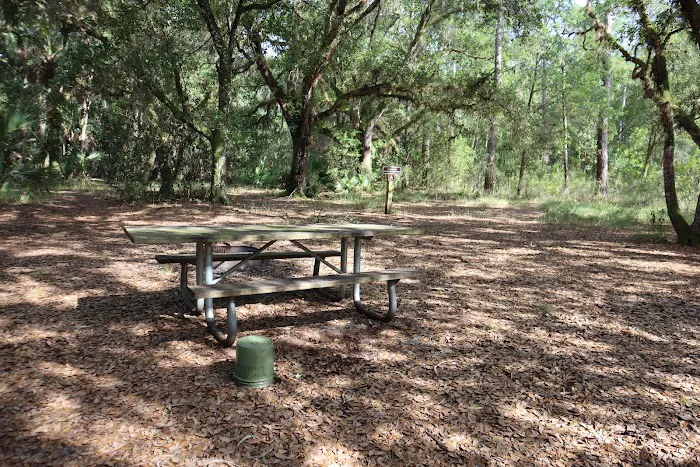 Creekside Camp Picture 3