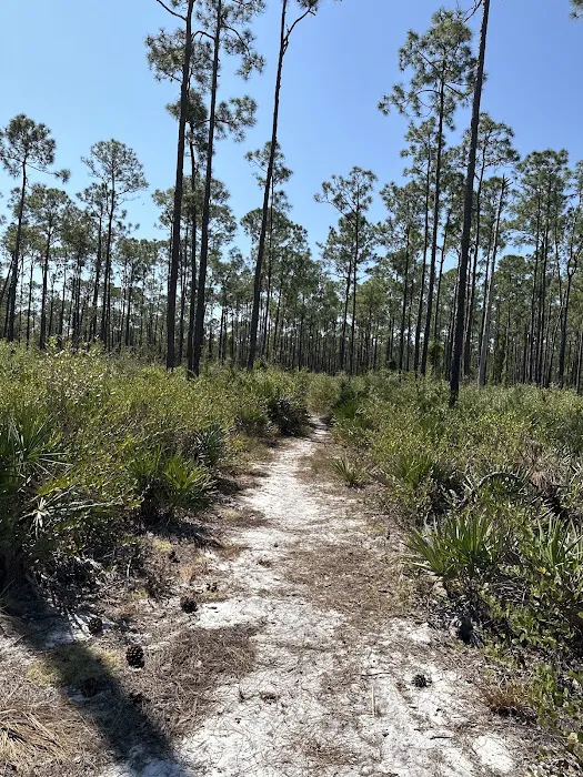 Creekside Camp Picture 10