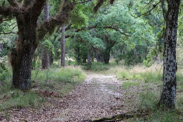 Creekside Camp Picture 5