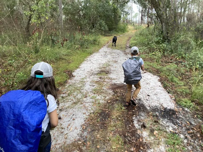 Creekside Camp Picture 6