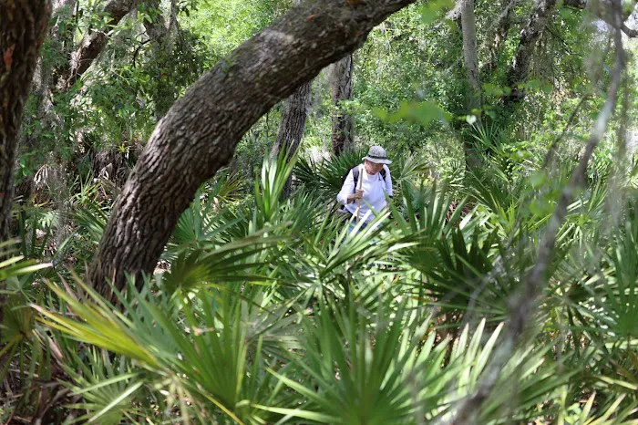 Creekside Camp Picture 1