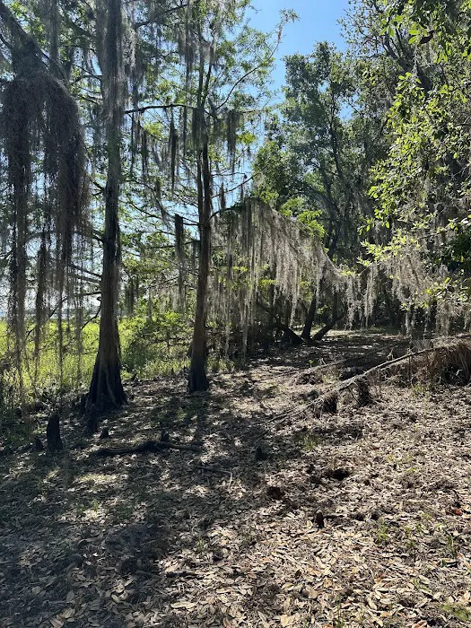 Creekside Camp Picture 9