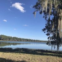 Hardee County Lakes ico