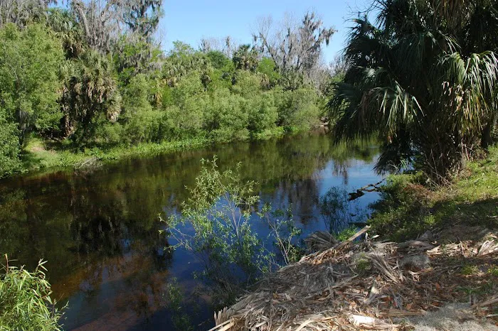 Thousand Trails Peace River Picture 3
