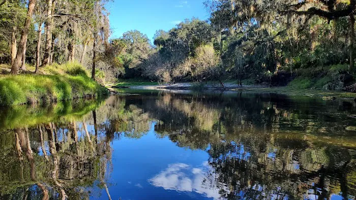 Thousand Trails Peace River Picture 4