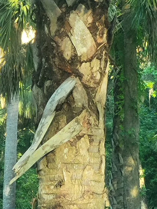 Campground Picture 2