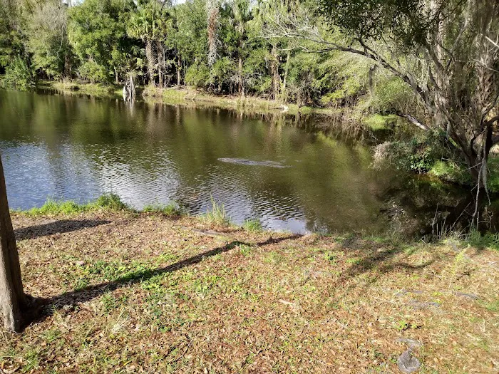 Campground Picture 10