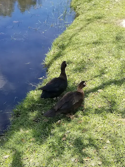 Oasis At Zolfo Springs Picture 9