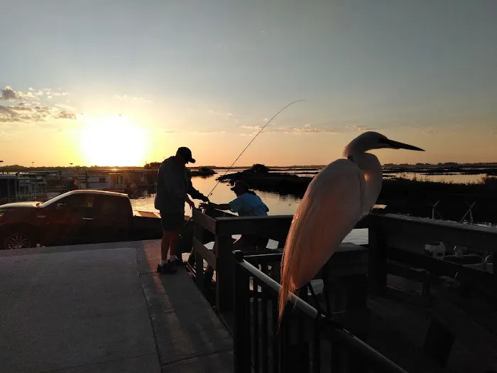 Grape Hammock Fish Camp & Airboat Rides Picture 4