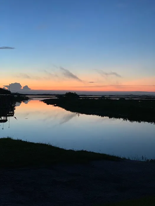 Grape Hammock Fish Camp & Airboat Rides Picture 6