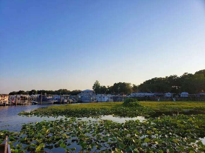 Grape Hammock Fish Camp & Airboat Rides Picture 7