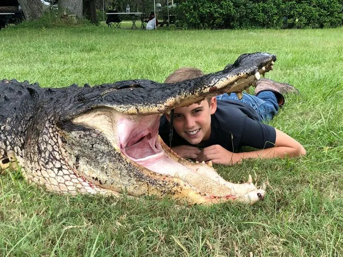 Grape Hammock Fish Camp & Airboat Rides Picture 9