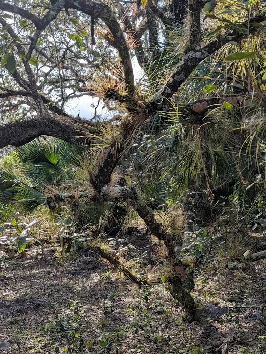 KICCO - Packingham Campsite Picture 1