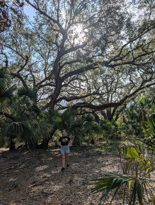 KICCO - Packingham Campsite Picture 5