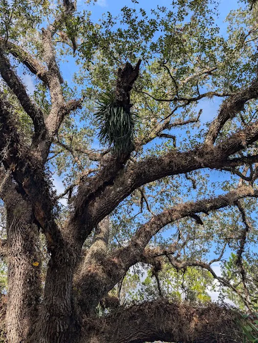 KICCO - Packingham Campsite Picture 2