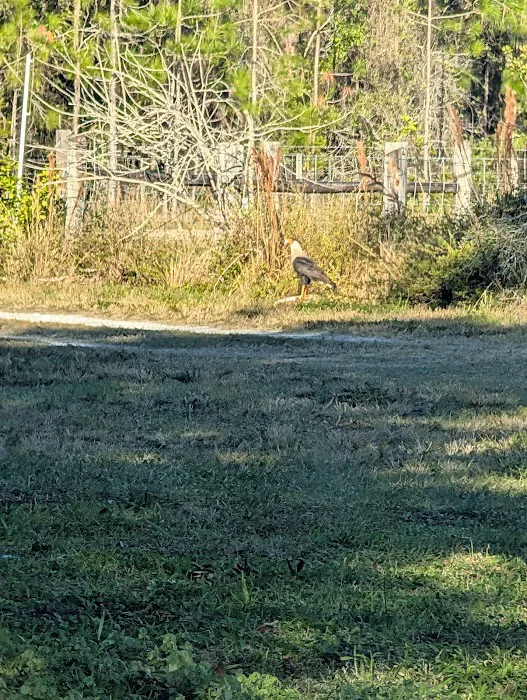 KICCO - Packingham Campsite Picture 4