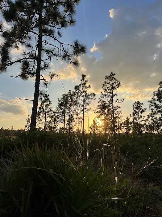 Circle W River Ranch Picture 9