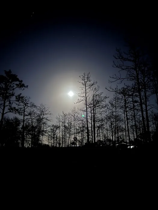 Circle W River Ranch Picture 3