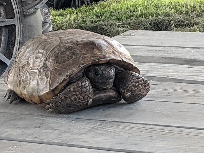 Rustic Paradise Picture 1