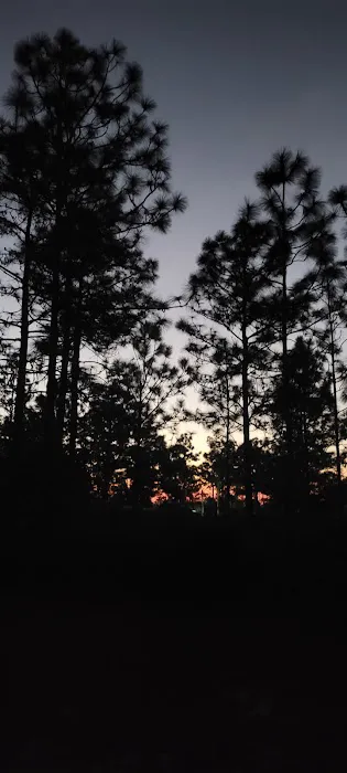 Camp Bushy Beaver Picture 1