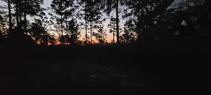 Camp Bushy Beaver Picture 7