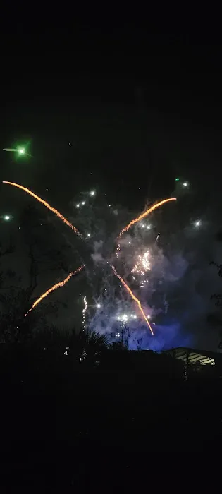 Camp Bushy Beaver Picture 5