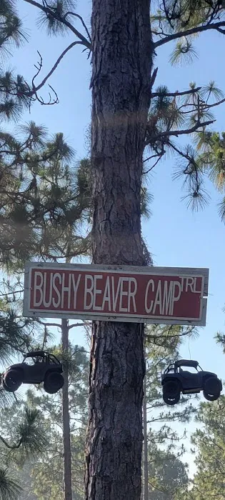 Camp Bushy Beaver Picture 8