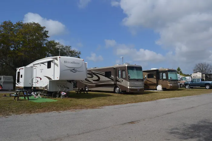 Encore Terra Ceia Picture 1