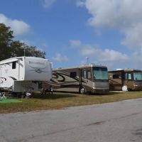 Encore Terra Ceia ico