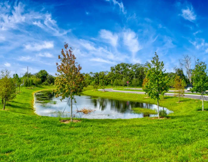 Encore Terra Ceia Picture 6