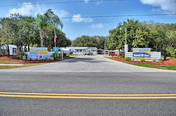 Encore Terra Ceia Picture 9