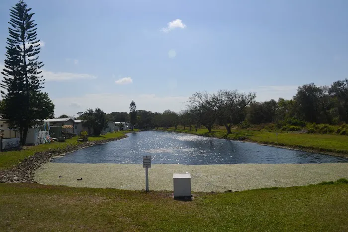 Encore Terra Ceia Picture 7