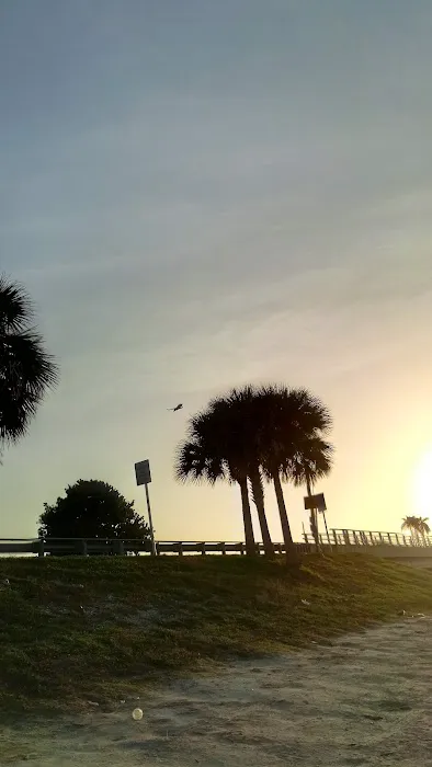 Terra Ceia Bay Estates Picture 1