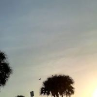 Terra Ceia Bay Estates ico