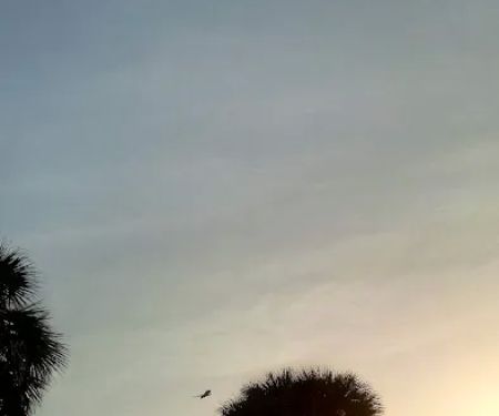 Terra Ceia Bay Estates