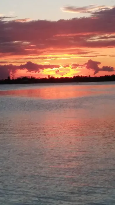 Terra Ceia Bay Estates Picture 5