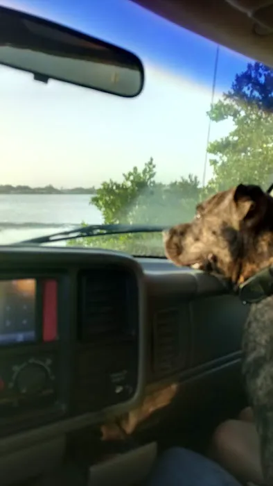 Terra Ceia Bay Estates Picture 2