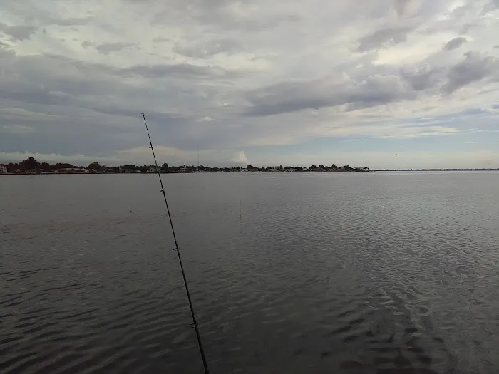 Terra Ceia Bay Estates Picture 4