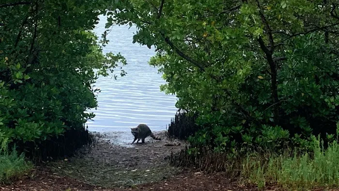 Fort De Soto Park Campground Picture 10