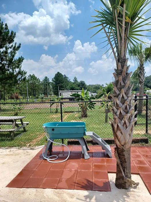 Alabama Coast Campground Picture 10