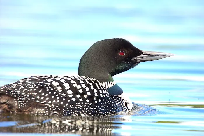Lake Ste Kathryn Campground Picture 9