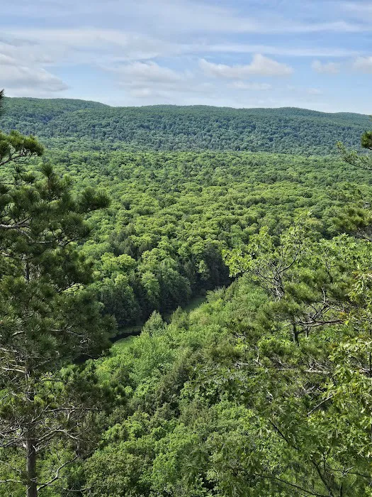 Camp Nesbit Picture 3