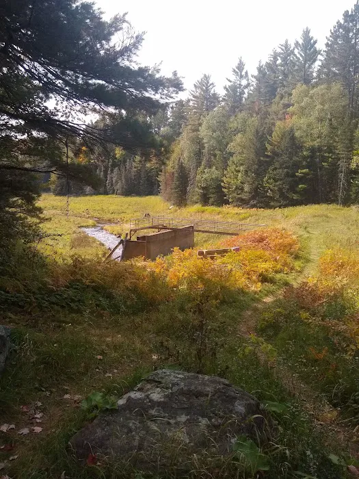 Lower Dam Lake Campground Picture 7