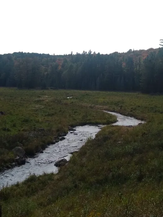 Lower Dam Lake Campground Picture 8